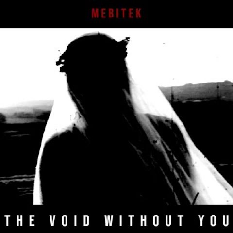 Embedded thumbnail for The Void Without You