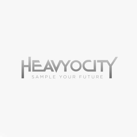 Heavyocity Media