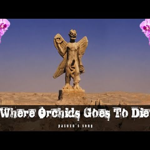 Embedded thumbnail for Where Orchids Goes To Die - Pazuzu&amp;#039;s Song